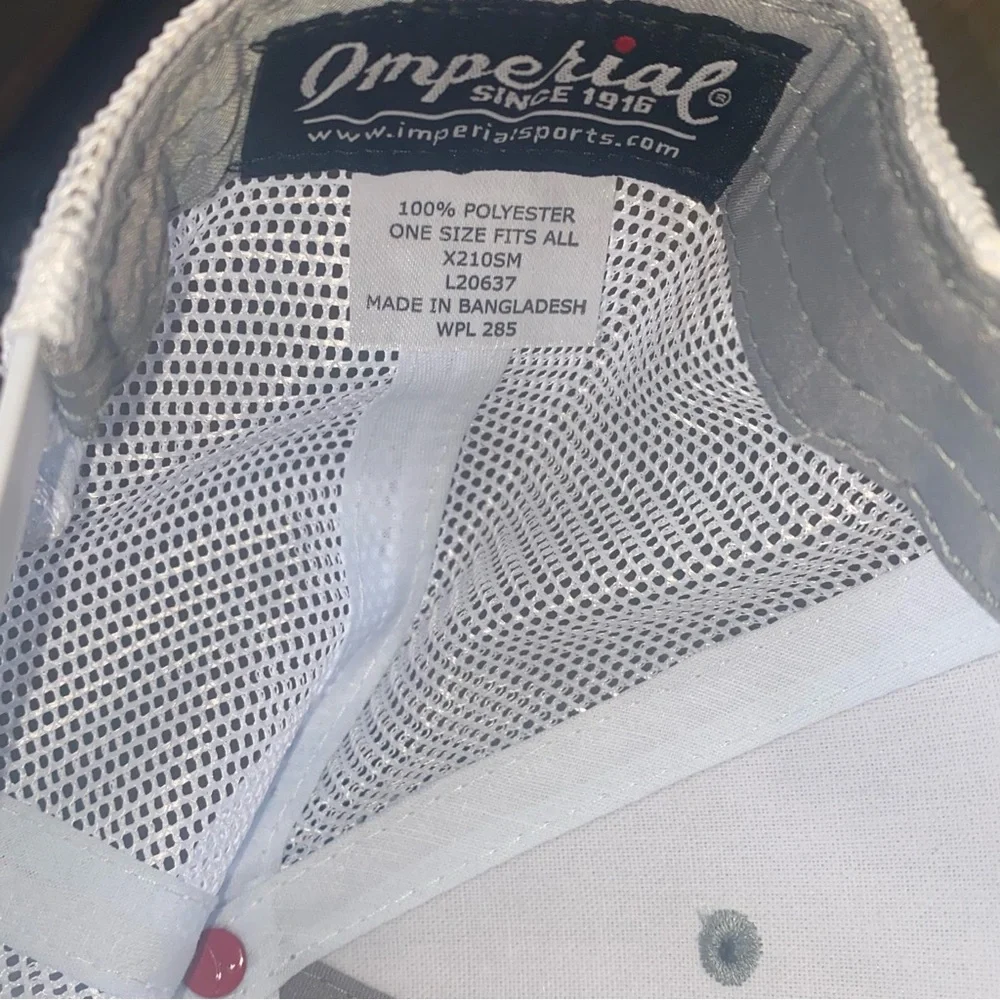 Imperial Hat “Hit Different” ⛳️ - Picture 8 of 8